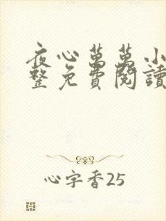 夜心万万小说完整免费阅读全文