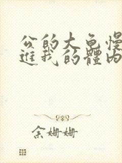 公的大龟慢慢挺进我的体内视频