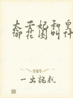 太子妃和皇帝在御花园叫什么小说