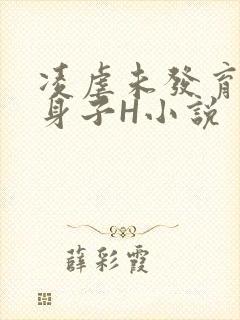 凌虐未发育的小身子H小说
