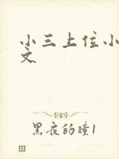 小三上位小说全文