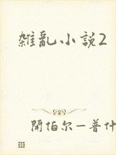 杂乱小说2
