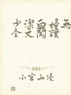 少洁白妇无删减全文阅读