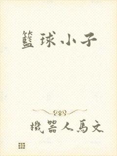 篮球小子