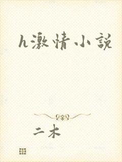 h激情小说