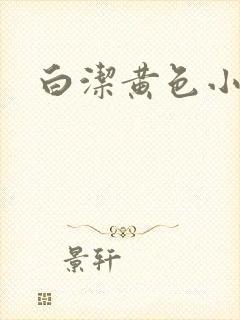 白洁黄色小说