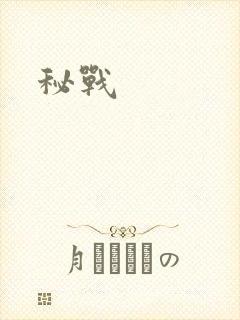 秘战