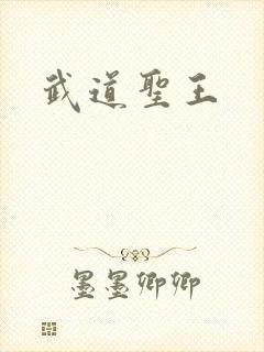 武道圣王