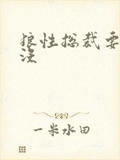 狼性总裁要够了没