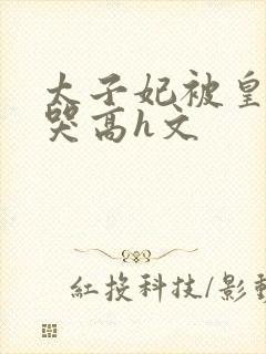 太子妃被皇上c哭高h文