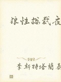 狼性总裁夜欢宠