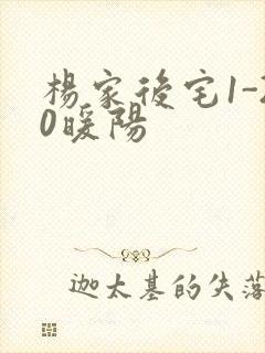 杨家后宅1-20暖阳