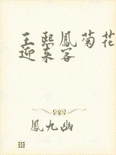 王熙凤菊花门初迎来客