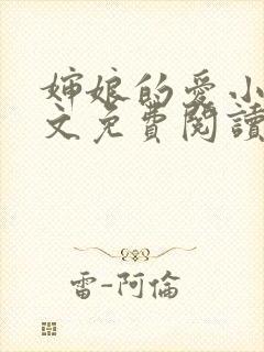 婶娘的爱小说全文免费阅读