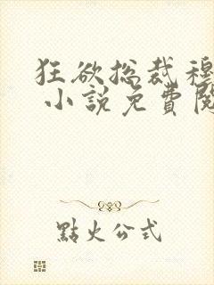 狂欲总裁穆非雪 小说免费阅读