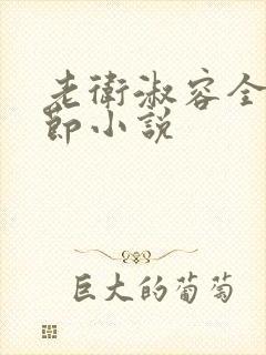 老卫淑容全部章节小说