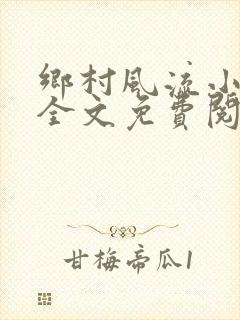 乡村风流小傻子全文免费阅读