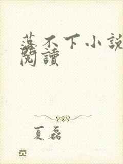 落不下小说免费阅读