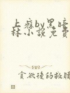 上瘾by黑暗森林小说免费