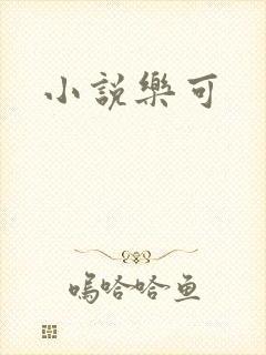 小说乐可