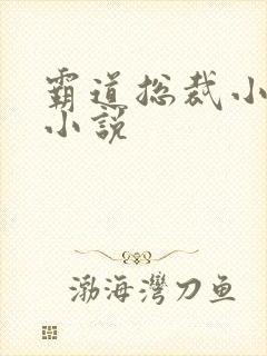 霸道总裁小娇妻小说