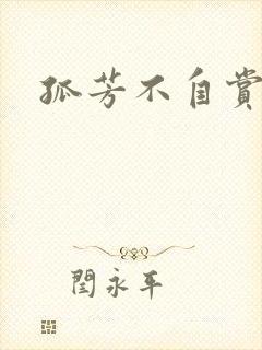 孤芳不自赏小说