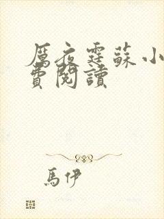 厉夜霆苏小汐免费阅读