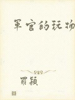 军官的玩物