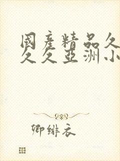 国产精品久久久久久亚洲小说