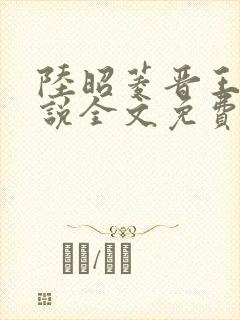 陆昭菱晋王的小说全文免费阅读