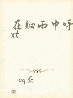 在细雨中呼喊txt