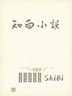 知白小说