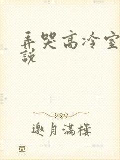 弄哭高冷室友小说
