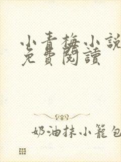 小青梅小说全文免费阅读