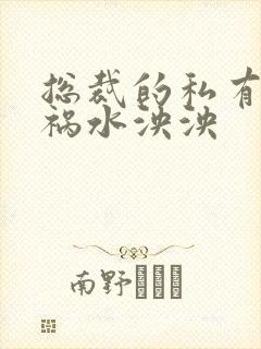 总裁的私有宝贝祸水泱泱