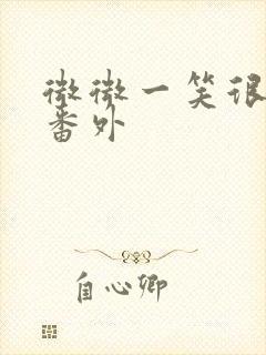 微微一笑很倾城番外