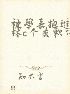 被学长抱进小树林c个爽软件