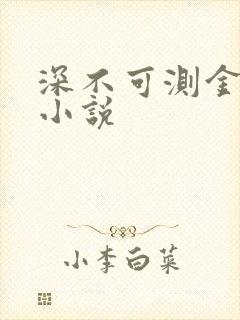 深不可测金银花小说