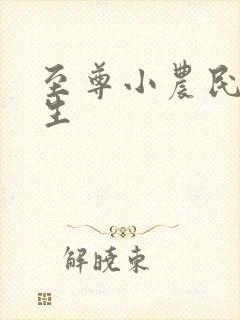 至尊小农民王木生