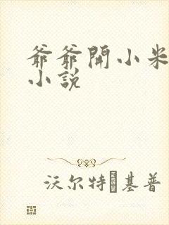 爷爷开小米的包小说