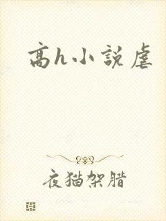 高h小说虐