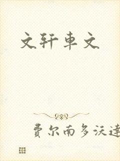 文轩车文