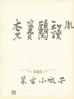 木宁顾知胤小说免费阅读