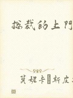 总裁的上门女婿