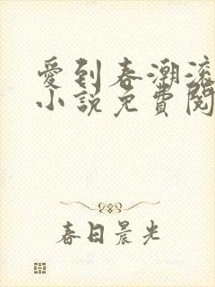 爱到春潮滚滚来小说免费阅读