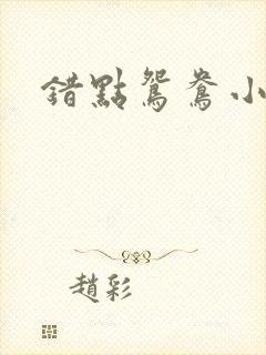 错点鸳鸯小说