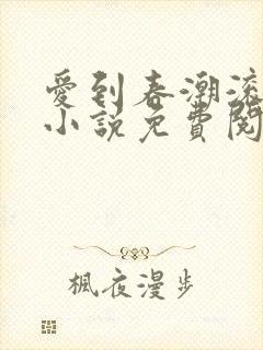 爱到春潮滚滚来小说免费阅读