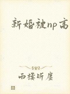 新婚被np高h