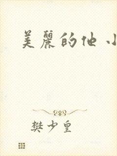 美丽的他 小说