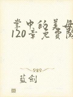 掌中的美母版主120章免费阅读